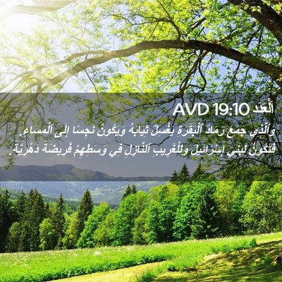 Picture 02 - اَلْعَدَد 19:10 AVD - وَٱلَّذِي جَمَعَ رَمَادَ - Bible Verse Picture