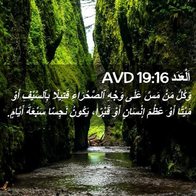 Picture 02 - اَلْعَدَد 19:16 AVD - وَكُلُّ مَنْ مَسَّ عَلَى - Bible Verse Picture
