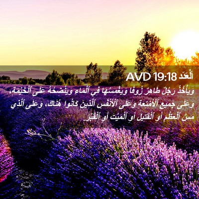 Picture 02 - اَلْعَدَد 19:18 AVD - وَيَأْخُذُ رَجُلٌ طَاهِرٌ - Bible Verse Picture