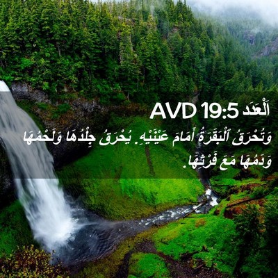 Picture 02 - اَلْعَدَد 19:5 AVD - وَتُحْرَقُ ٱلْبَقَرَةُ - Bible Verse Picture