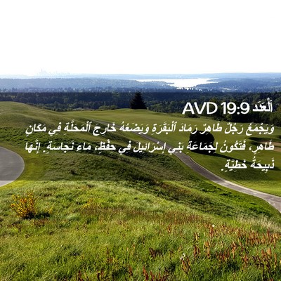 Picture 02 - اَلْعَدَد 19:9 AVD - وَيَجْمَعُ رَجُلٌ طَاهِرٌ - Bible Verse Picture