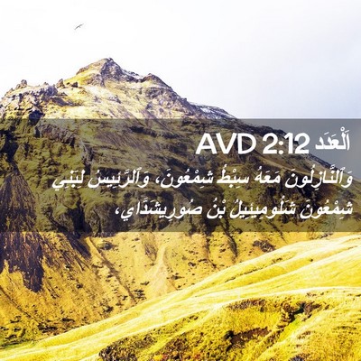 Picture 02 - اَلْعَدَد 2:12 AVD - وَٱلنَّازِلُونَ مَعَهُ - Bible Verse Picture
