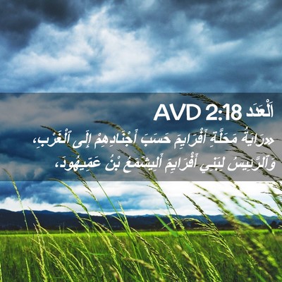 Picture 02 - اَلْعَدَد 2:18 AVD - «رَايَةُ مَحَلَّةِ - Bible Verse Picture