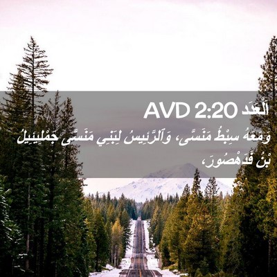 Picture 02 - اَلْعَدَد 2:20 AVD - وَمَعَهُ سِبْطُ مَنَسَّى، - Bible Verse Picture