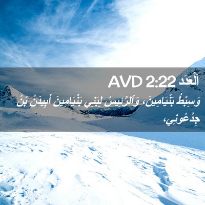 Picture 02 - اَلْعَدَد 2:22 AVD - وَسِبْطُ بَنْيَامِينَ، - Bible Verse Picture