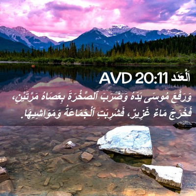 Picture 02 - اَلْعَدَد 20:11 AVD - وَرَفَعَ مُوسَى يَدَهُ - Bible Verse Picture