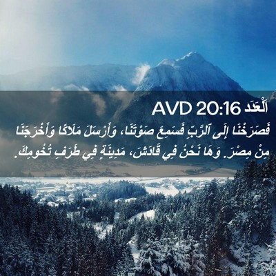 Picture 02 - اَلْعَدَد 20:16 AVD - فَصَرَخْنَا إِلَى - Bible Verse Picture