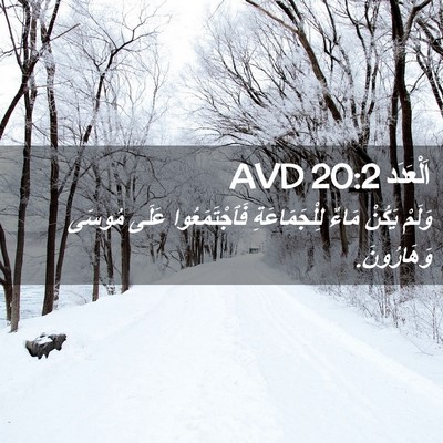 Picture 02 - اَلْعَدَد 20:2 AVD - وَلَمْ يَكُنْ مَاءٌ - Bible Verse Picture