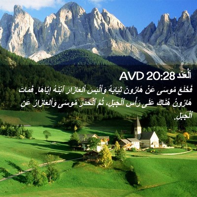 Picture 02 - اَلْعَدَد 20:28 AVD - فَخَلَعَ مُوسَى عَنْ - Bible Verse Picture