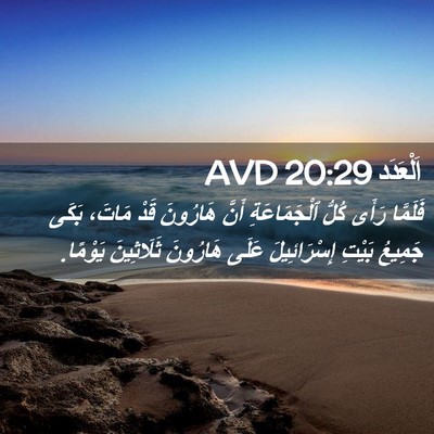Picture 02 - اَلْعَدَد 20:29 AVD - فَلَمَّا رَأَى كُلُّ - Bible Verse Picture