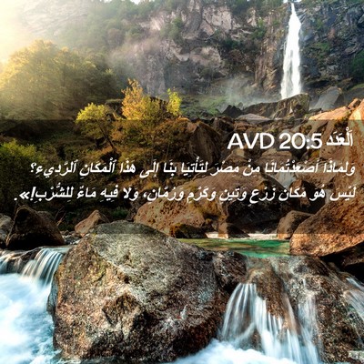 Picture 02 - اَلْعَدَد 20:5 AVD - وَلِمَاذَا - Bible Verse Picture