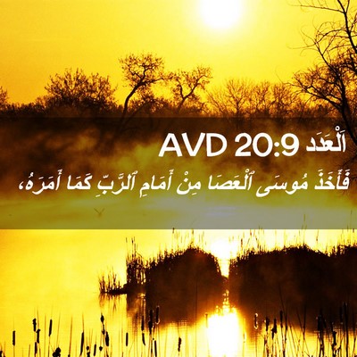 Picture 02 - اَلْعَدَد 20:9 AVD - فَأَخَذَ مُوسَى ٱلْعَصَا - Bible Verse Picture