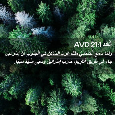 Picture 02 - اَلْعَدَد 21:1 AVD - وَلَمَّا سَمِعَ - Bible Verse Picture