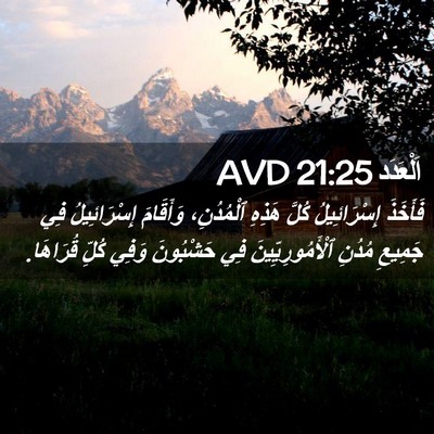 Picture 02 - اَلْعَدَد 21:25 AVD - فَأَخَذَ إِسْرَائِيلُ - Bible Verse Picture