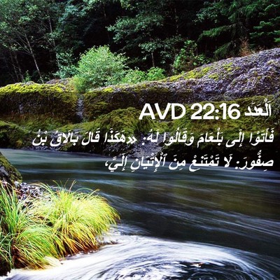 Picture 02 - اَلْعَدَد 22:16 AVD - فَأَتَوْا إِلَى بَلْعَامَ - Bible Verse Picture