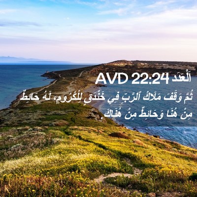 Picture 02 - اَلْعَدَد 22:24 AVD - ثُمَّ وَقَفَ مَلَاكُ - Bible Verse Picture