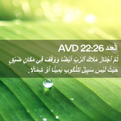 Picture 02 - اَلْعَدَد 22:26 AVD - ثُمَّ ٱجْتَازَ مَلَاكُ - Bible Verse Picture