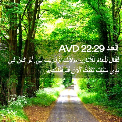 Picture 02 - اَلْعَدَد 22:29 AVD - فَقَالَ بَلْعَامُ - Bible Verse Picture