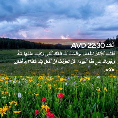 Picture 02 - اَلْعَدَد 22:30 AVD - فَقَالَتِ ٱلْأَتَانُ - Bible Verse Picture