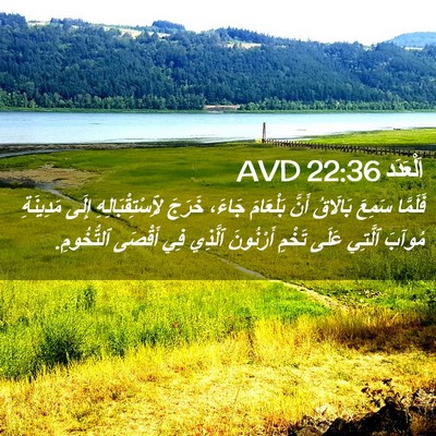 Picture 02 - اَلْعَدَد 22:36 AVD - فَلَمَّا سَمِعَ بَالَاقُ - Bible Verse Picture