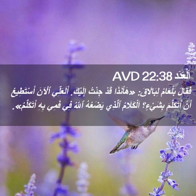 Picture 02 - اَلْعَدَد 22:38 AVD - فَقَالَ بَلْعَامُ - Bible Verse Picture