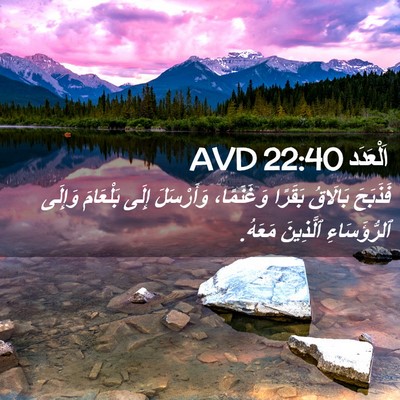 Picture 02 - اَلْعَدَد 22:40 AVD - فَذَبَحَ بَالَاقُ بَقَرًا - Bible Verse Picture