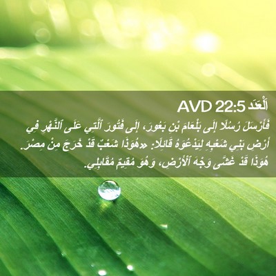 Picture 02 - اَلْعَدَد 22:5 AVD - فَأَرْسَلَ رُسُلًا إِلَى - Bible Verse Picture
