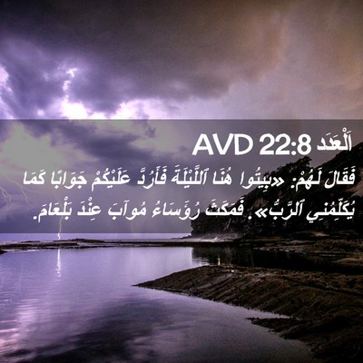 Picture 02 - اَلْعَدَد 22:8 AVD - فَقَالَ لَهُمْ: «بِيتُوا - Bible Verse Picture