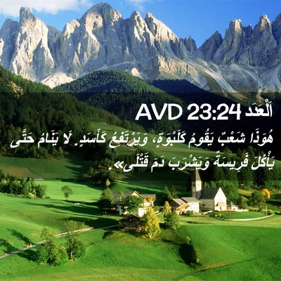 Picture 02 - اَلْعَدَد 23:24 AVD - هُوَذَا شَعْبٌ يَقُومُ - Bible Verse Picture