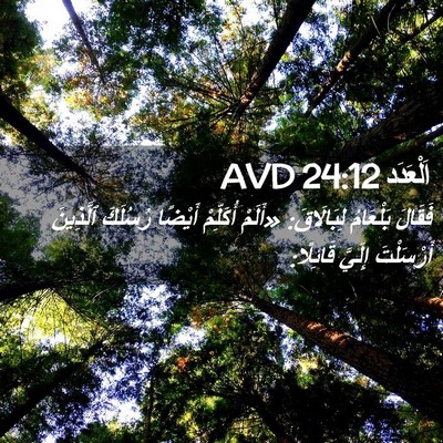 Picture 02 - اَلْعَدَد 24:12 AVD - فَقَالَ بَلْعَامُ - Bible Verse Picture