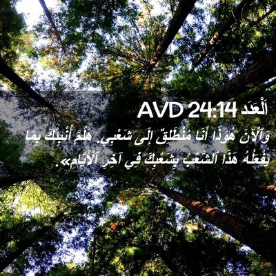 Picture 02 - اَلْعَدَد 24:14 AVD - وَٱلْآنَ هُوَذَا أَنَا - Bible Verse Picture