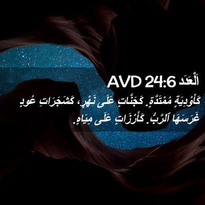 Picture 02 - اَلْعَدَد 24:6 AVD - كَأَوْدِيَةٍ مُمْتَدَّةٍ. - Bible Verse Picture
