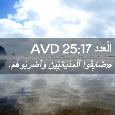 Picture 02 - اَلْعَدَد 25:17 AVD - «ضَايِقُوا - Bible Verse Picture