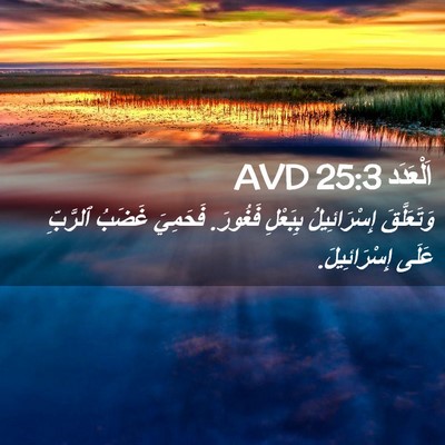Picture 02 - اَلْعَدَد 25:3 AVD - وَتَعَلَّقَ إِسْرَائِيلُ - Bible Verse Picture