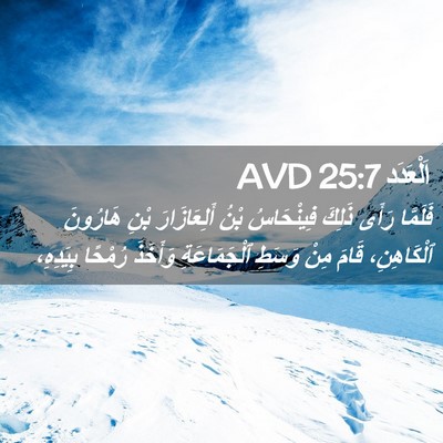 Picture 02 - اَلْعَدَد 25:7 AVD - فَلَمَّا رَأَى ذَلِكَ - Bible Verse Picture