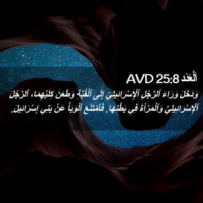 Picture 02 - اَلْعَدَد 25:8 AVD - وَدَخَلَ وَرَاءَ - Bible Verse Picture