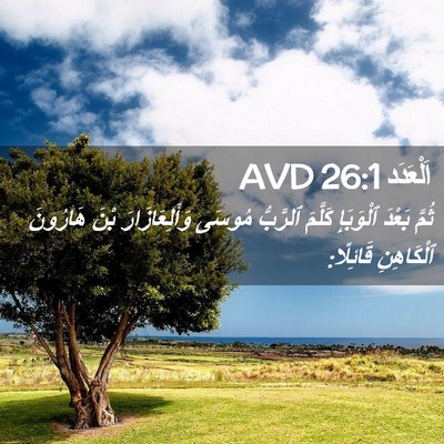 Picture 02 - اَلْعَدَد 26:1 AVD - ثُمَّ بَعْدَ ٱلْوَبَإِ - Bible Verse Picture