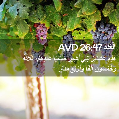 Picture 02 - اَلْعَدَد 26:47 AVD - هَذِهِ عَشَائِرُ بَنِي - Bible Verse Picture