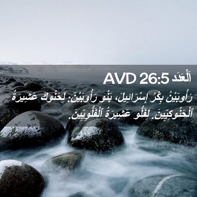 Picture 02 - اَلْعَدَد 26:5 AVD - رَأُوبَيْنُ بِكْرُ - Bible Verse Picture