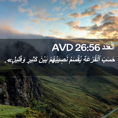 Picture 02 - اَلْعَدَد 26:56 AVD - حَسَبَ ٱلْقُرْعَةِ - Bible Verse Picture