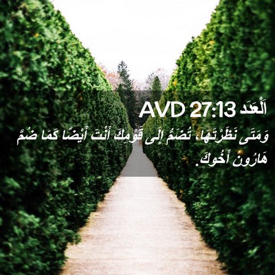 Picture 02 - اَلْعَدَد 27:13 AVD - وَمَتَى نَظَرْتَهَا، - Bible Verse Picture