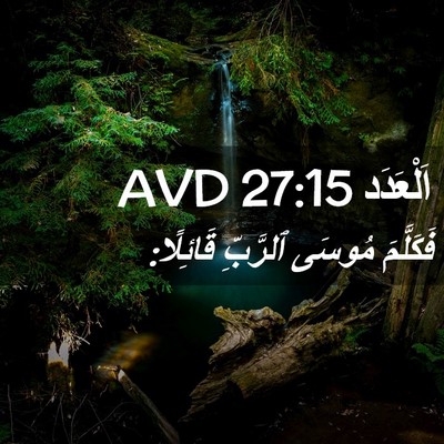 Picture 02 - اَلْعَدَد 27:15 AVD - فَكَلَّمَ مُوسَى ٱلرَّبِّ - Bible Verse Picture