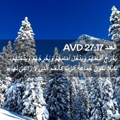 Picture 02 - اَلْعَدَد 27:17 AVD - يَخْرُجُ أَمَامَهُمْ - Bible Verse Picture