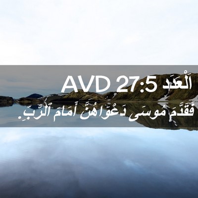Picture 02 - اَلْعَدَد 27:5 AVD - فَقَدَّمَ مُوسَى - Bible Verse Picture
