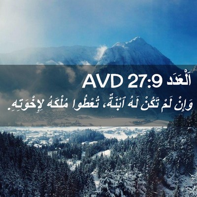 Picture 02 - اَلْعَدَد 27:9 AVD - وَإِنْ لَمْ تَكُنْ لَهُ - Bible Verse Picture