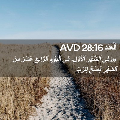Picture 02 - اَلْعَدَد 28:16 AVD - «وَفِي ٱلشَّهْرِ - Bible Verse Picture