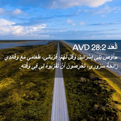 Picture 02 - اَلْعَدَد 28:2 AVD - «أَوْصِ بَنِي - Bible Verse Picture
