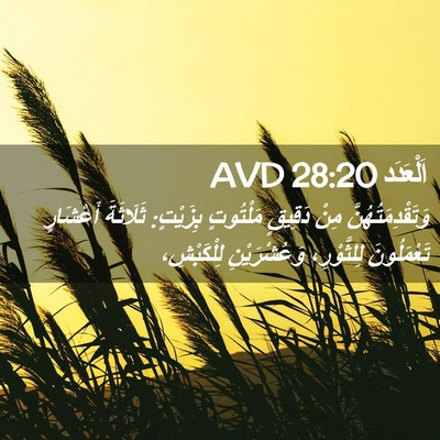 Picture 02 - اَلْعَدَد 28:20 AVD - وَتَقْدِمَتُهُنَّ مِنْ - Bible Verse Picture