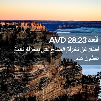 Picture 02 - اَلْعَدَد 28:23 AVD - فَضْلًا عَنْ مُحْرَقَةِ - Bible Verse Picture