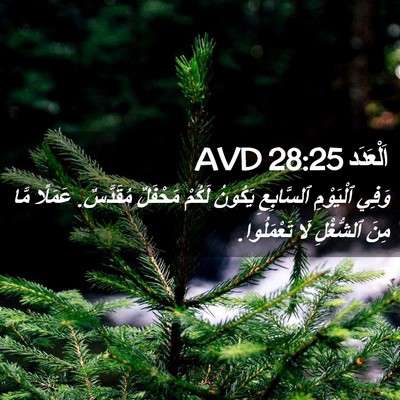 Picture 02 - اَلْعَدَد 28:25 AVD - وَفِي ٱلْيَوْمِ - Bible Verse Picture
